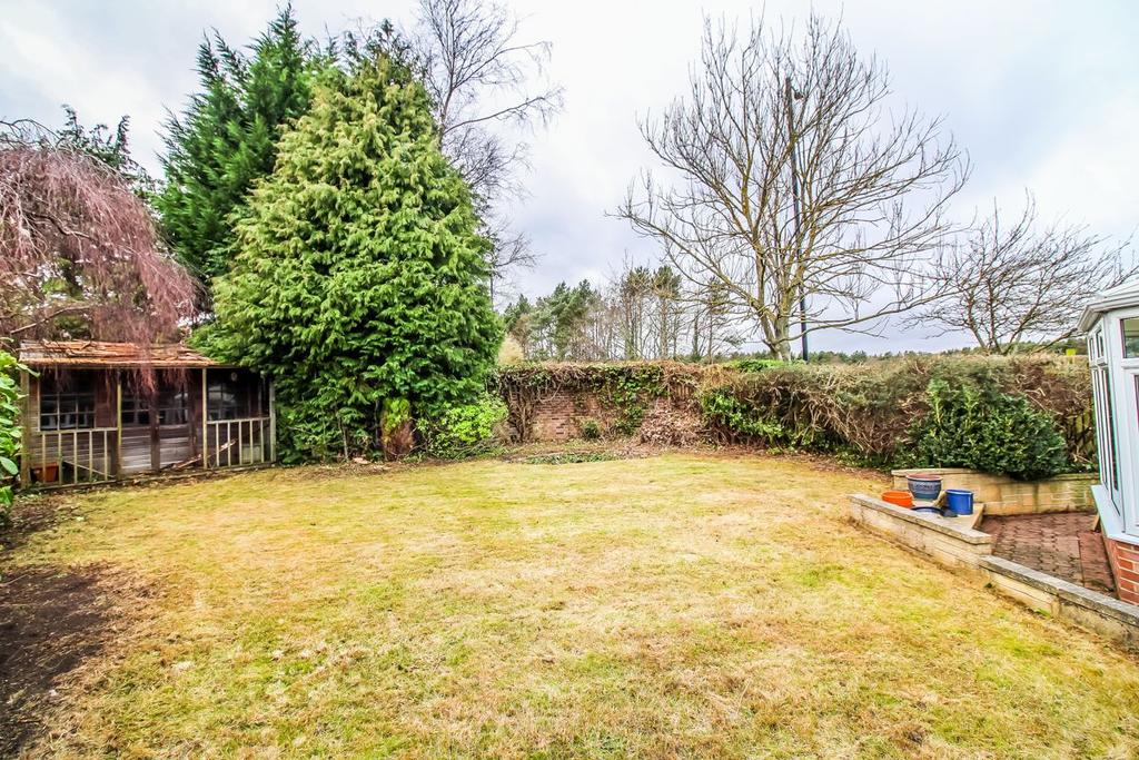 Rear Garden pic 3