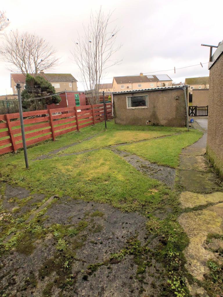 Back garden
