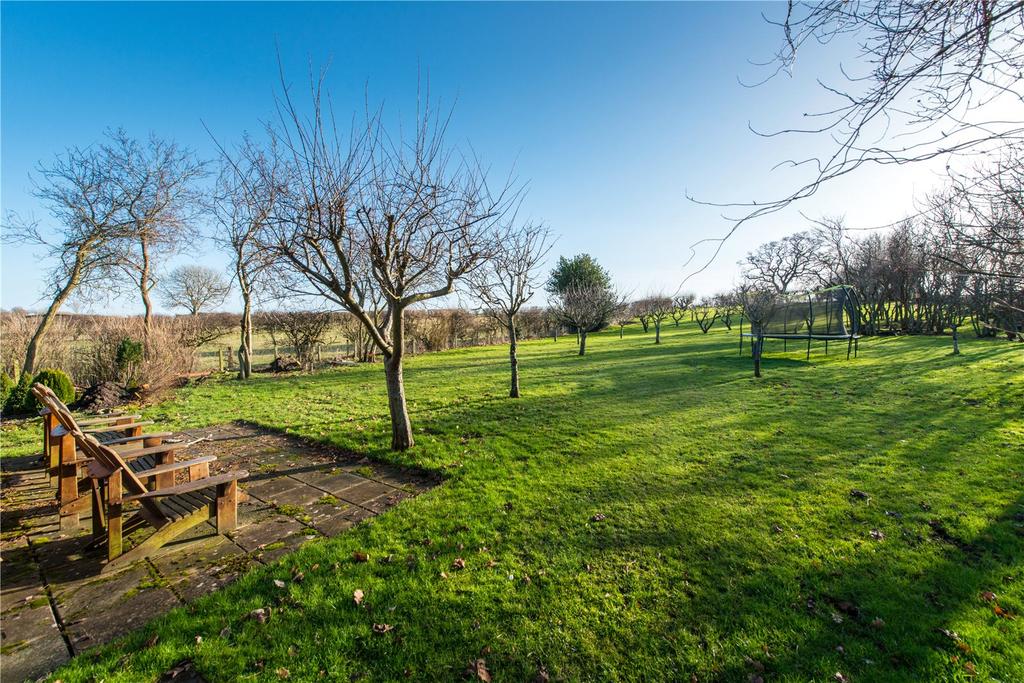Orchard