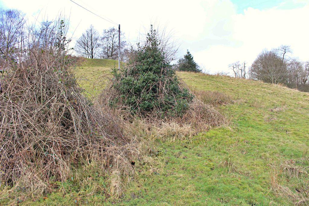 View From The Property At Rear