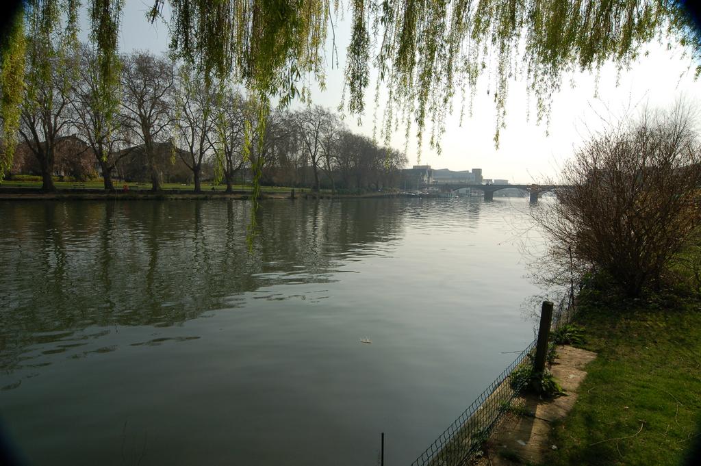 View upstream, from river bank