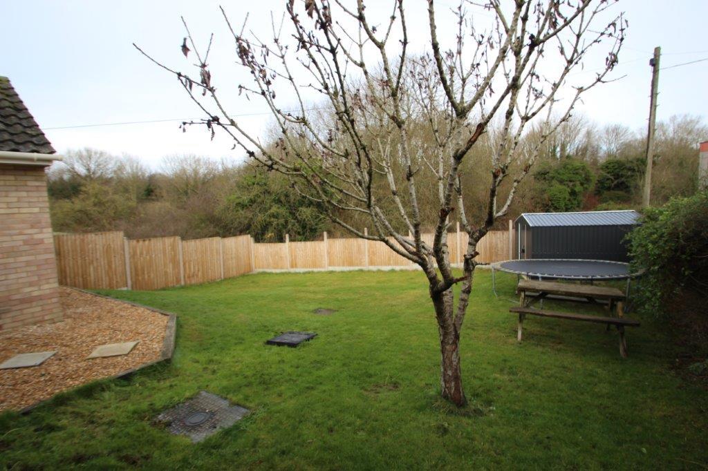 Garden 1