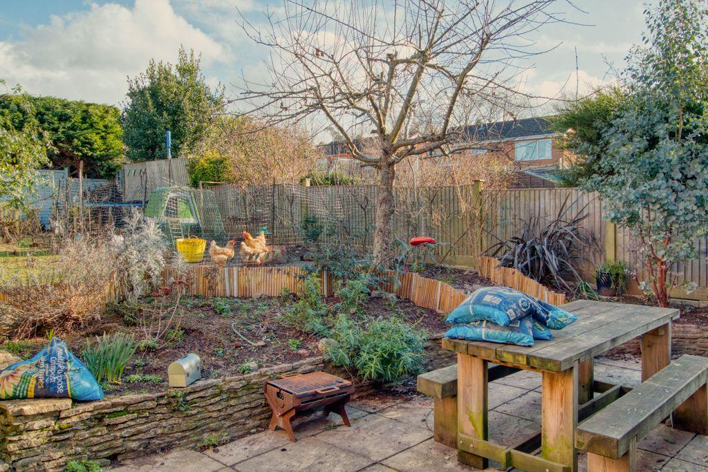 Garden at Back