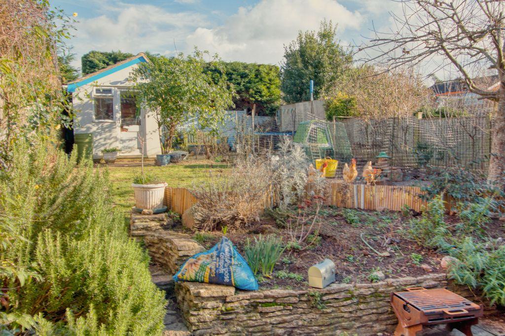 Garden at Back