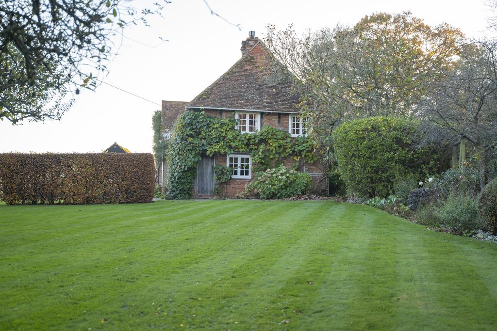 Side Garden