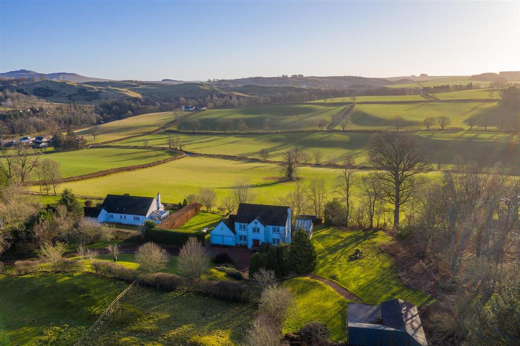 DJI 0465.jpg