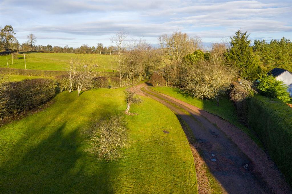 DJI 0481.jpg