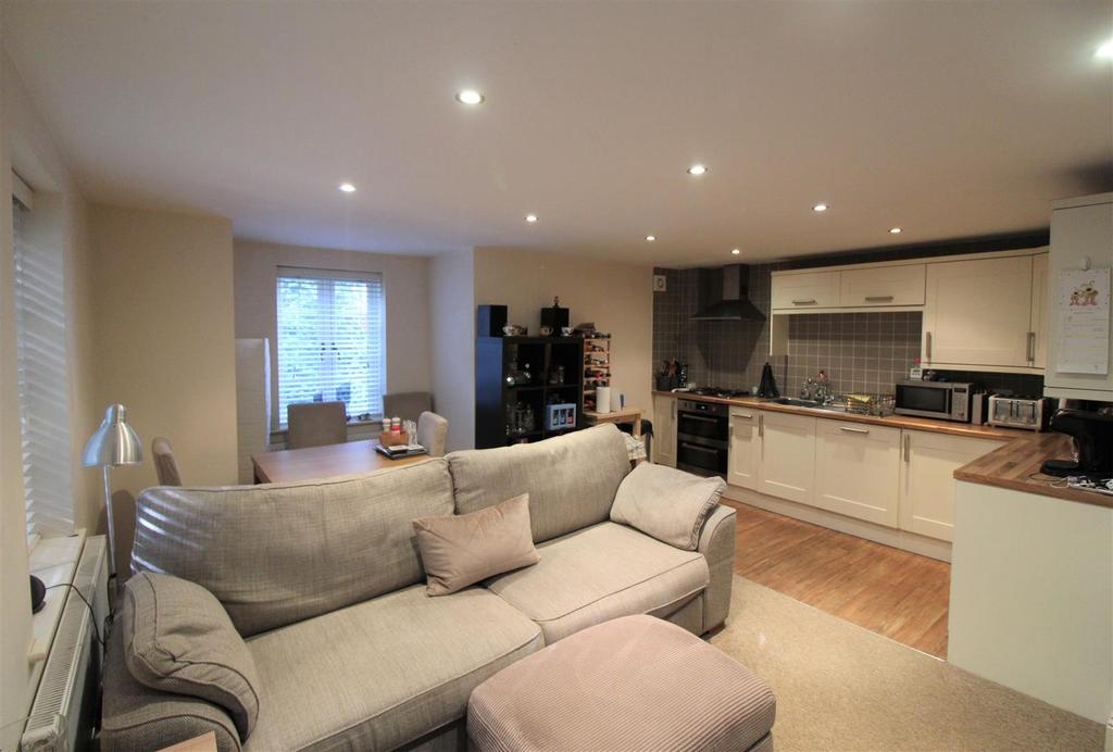 Open plan lounge kitchen.jpg
