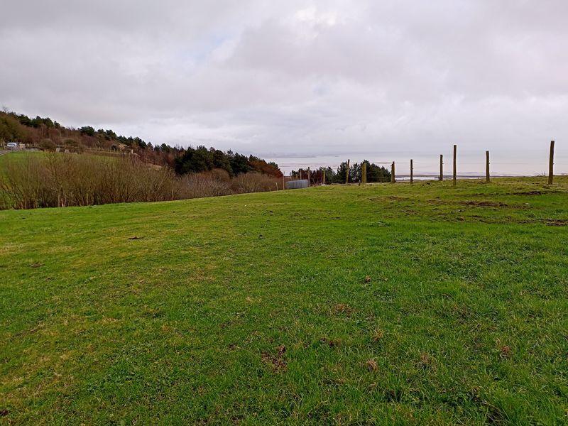 The Land