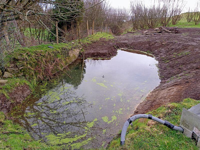 Pond Area