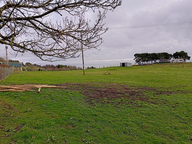 The Pastureland