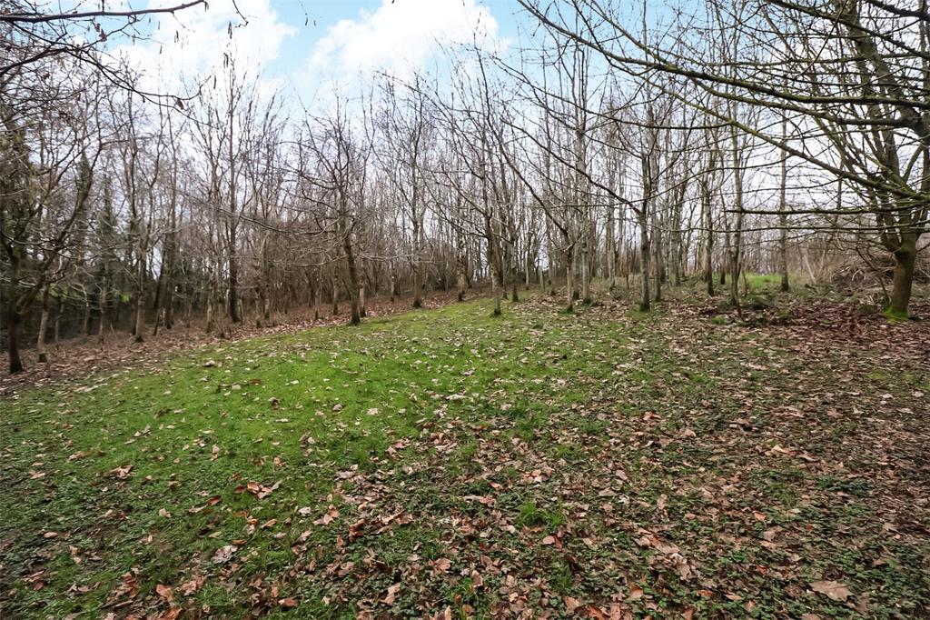 Woodland