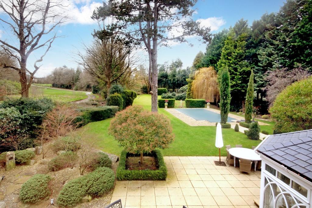 Patio and Pool