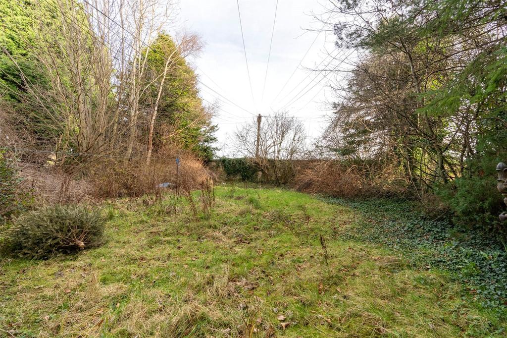 Shared Rear Garden