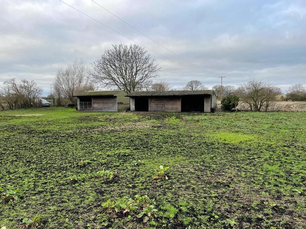 Westhay Moor Drove, Westhay, Glastonbury, Somerset, BA6 Equestrian