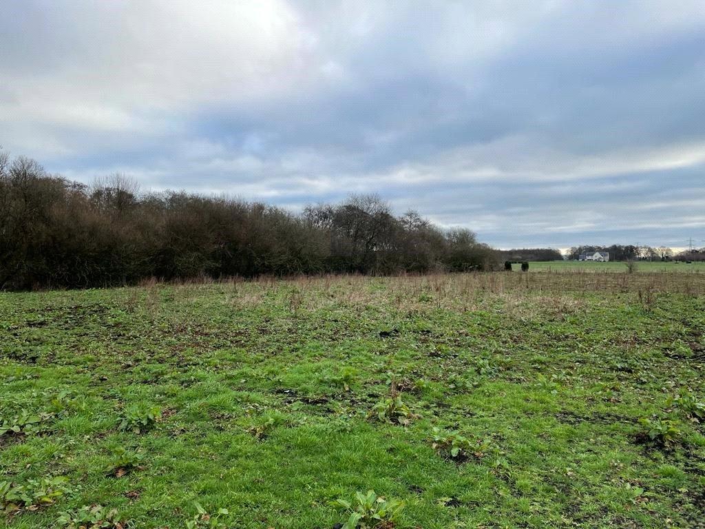 Westhay Moor Drove, Westhay, Glastonbury, Somerset, BA6 Equestrian