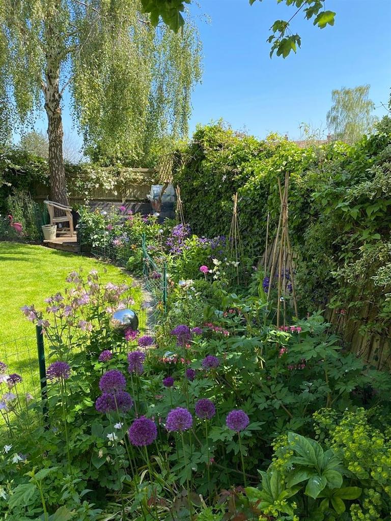 2nd garden photo.jpg