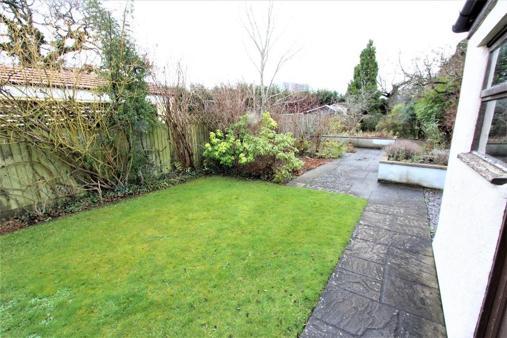 Lawn