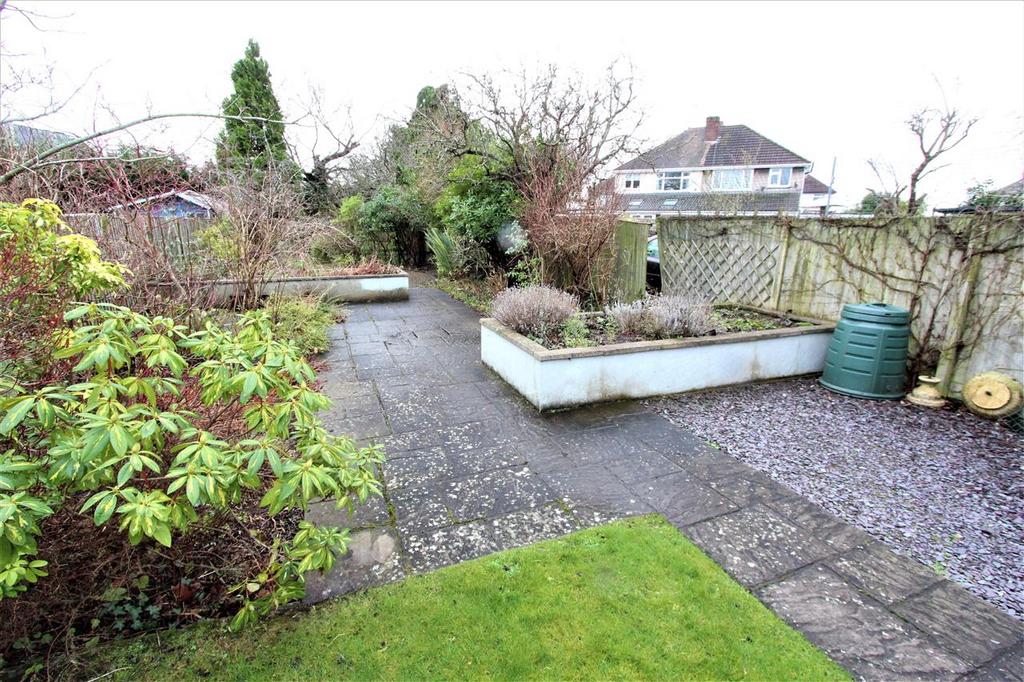 Raised Beds