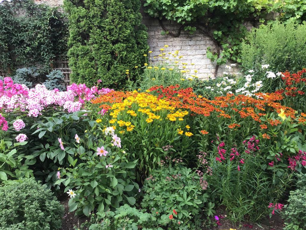 Owners Summer Garden Shot