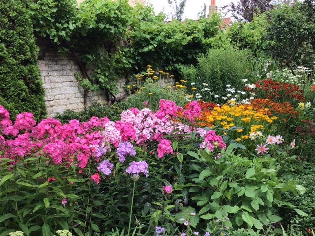 Owners Summer Garden Shot