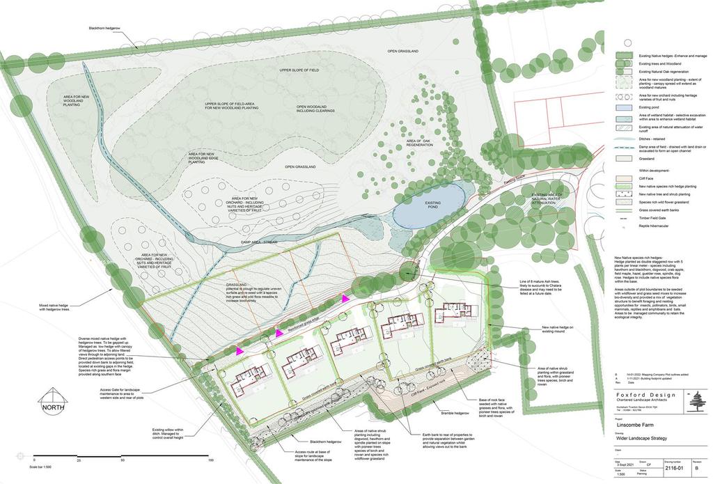 2116-01 rev B - Wider Landscape Strategy -A1 1-500