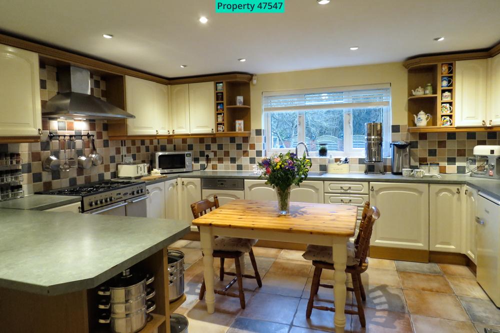 Kitchen overlooking back garden