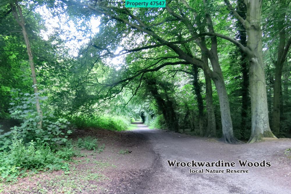 Local Wrockwardine Woods, popular with all walkers