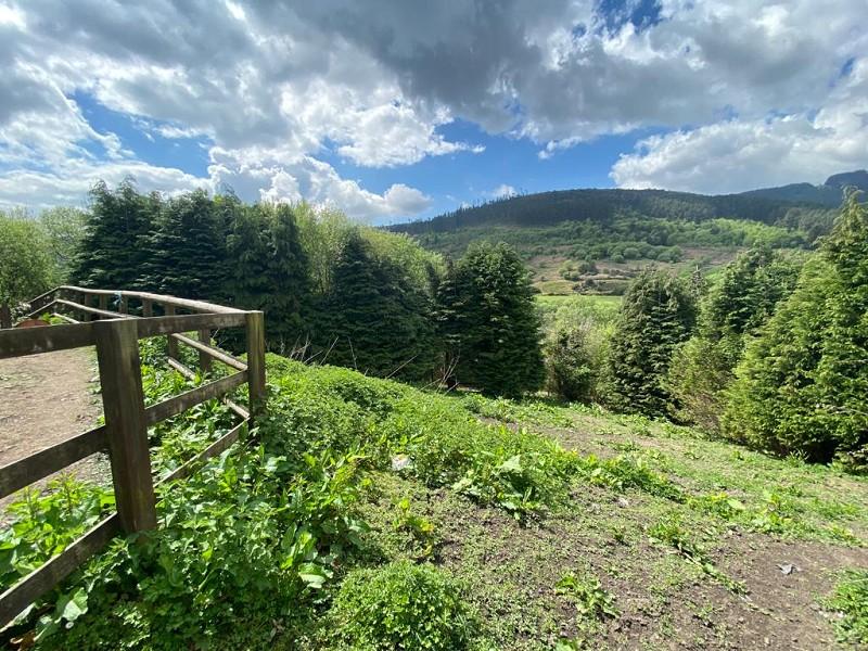 Convil Road, Blaengarw, Bridgend, Bridgend County. CF32 8BN Plot for