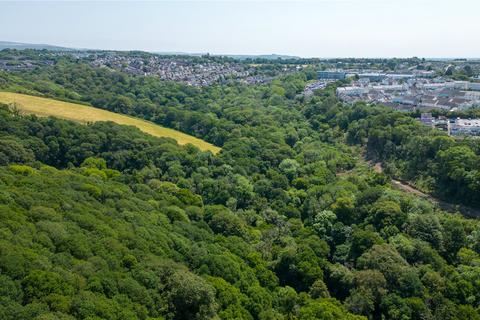 undefined, Woodland West Of Roborough, Tamerton Foliot, Plymouth, PL5