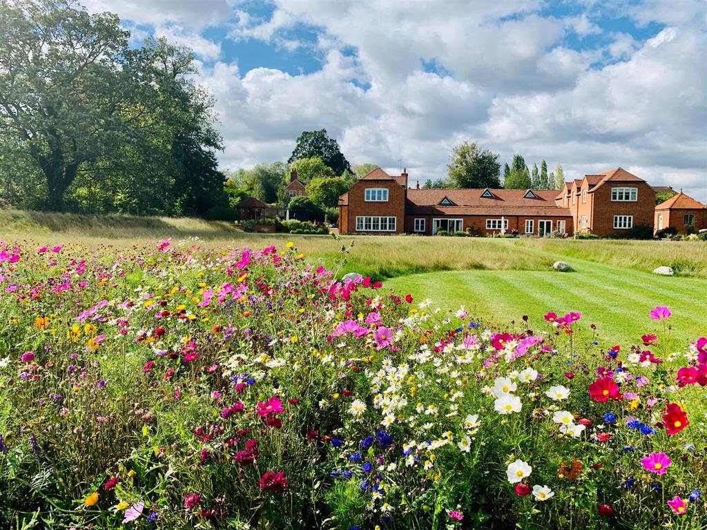Dairy House wild flower meadow.jpg