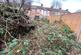 Garden T202201311703.jpg