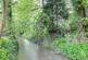 The Stream By The House...