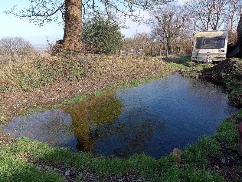 Small Pond