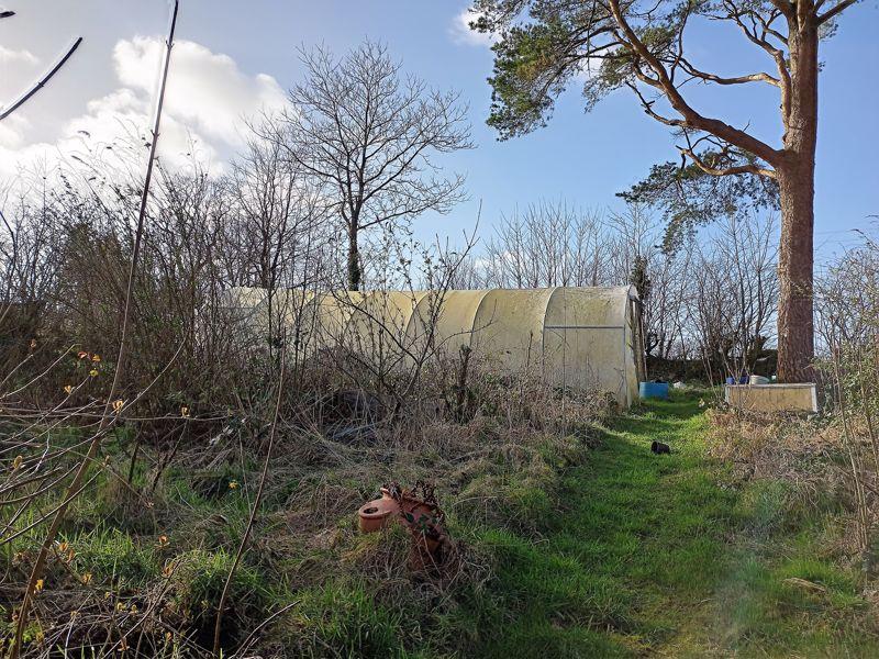 Polytunnel