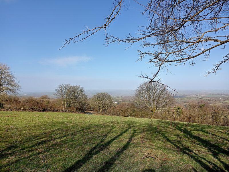 Land And Views