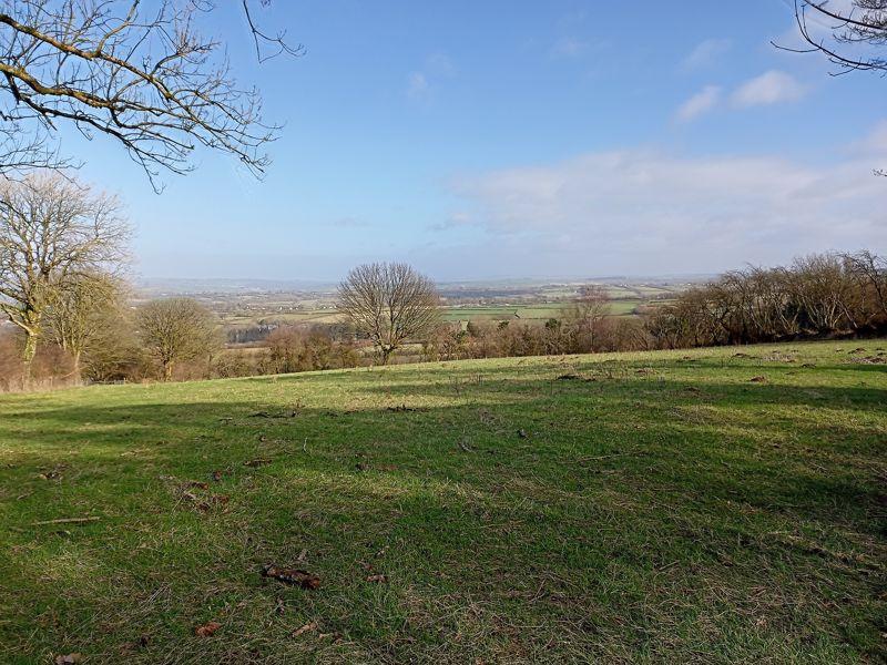 The Land