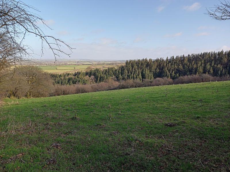 Land And Views