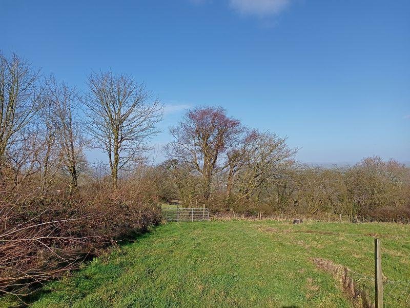 Another View