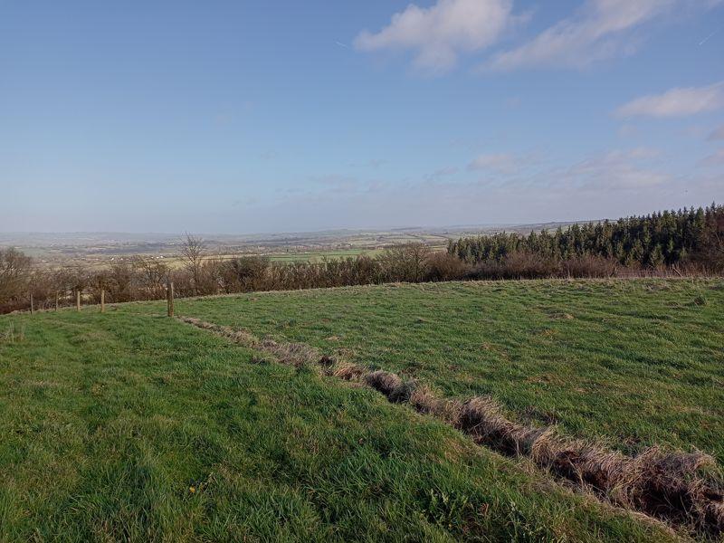 Land And Views