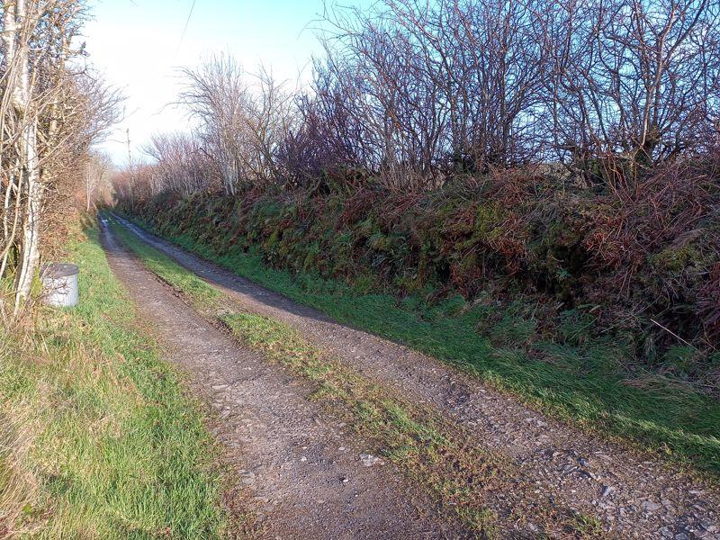 Lane To House