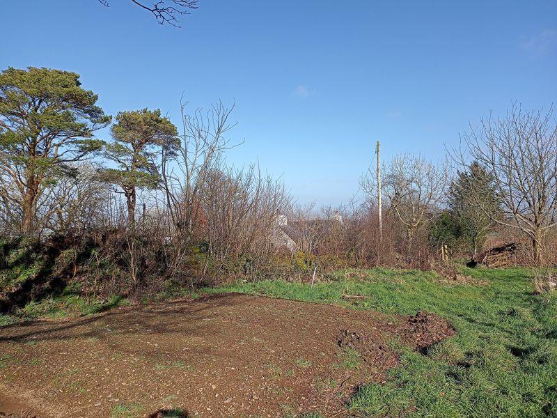 Vegetable Gardens