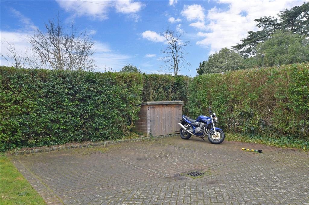 Driveway/Parking