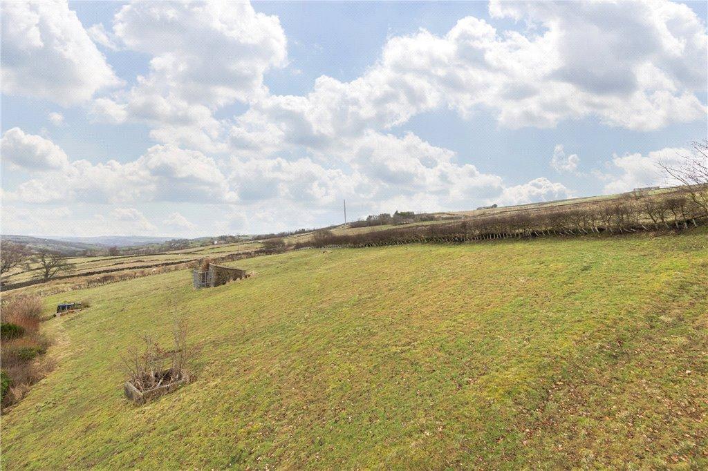 Field