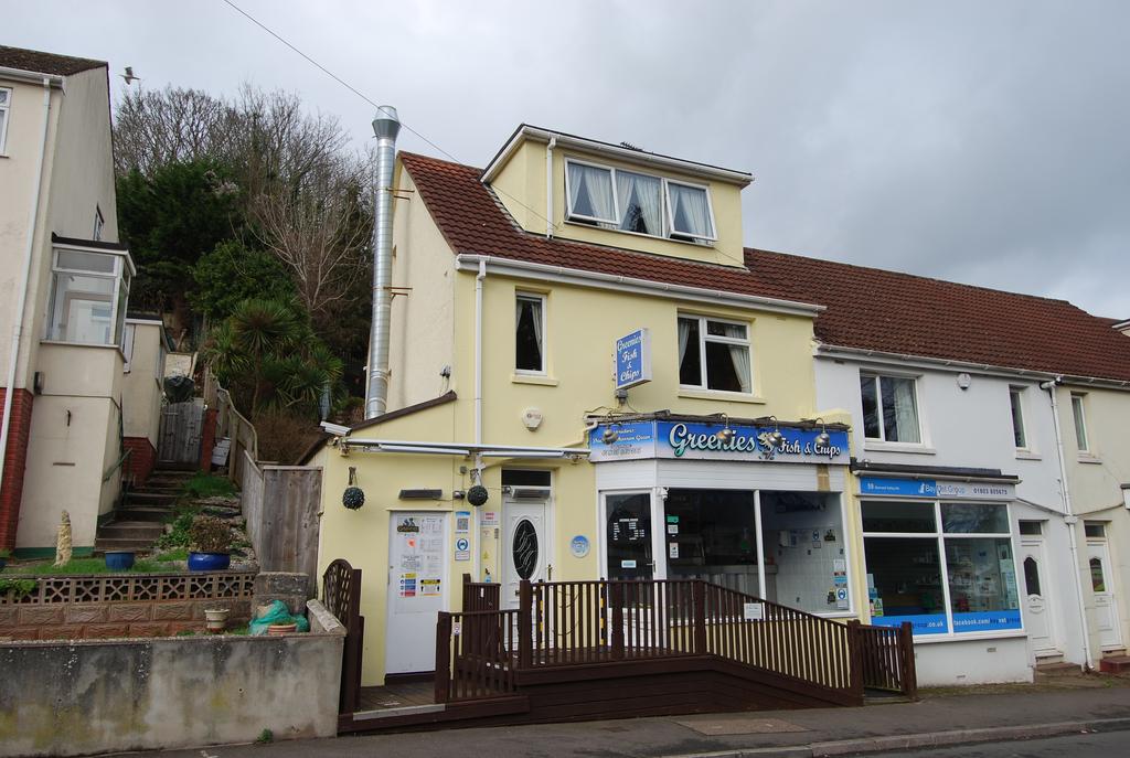 Sherwell Valley Road, Torquay 3 bed end of terrace house for sale £