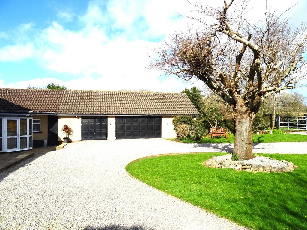 Driveway &amp; Garage