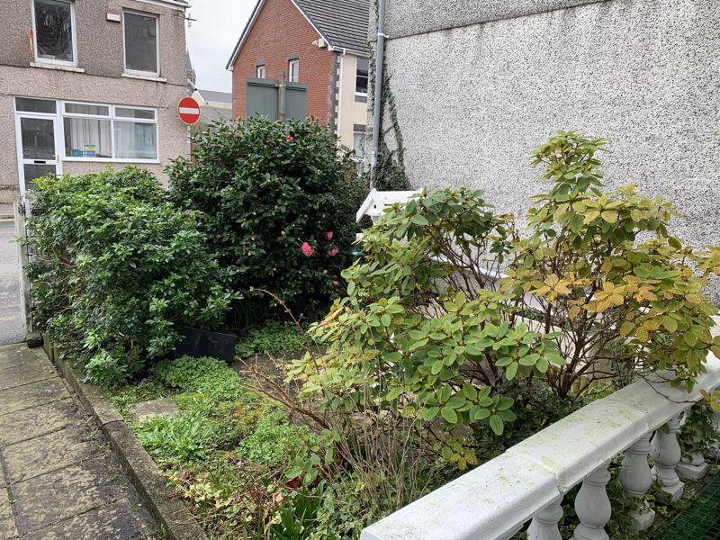 Front Garden 2