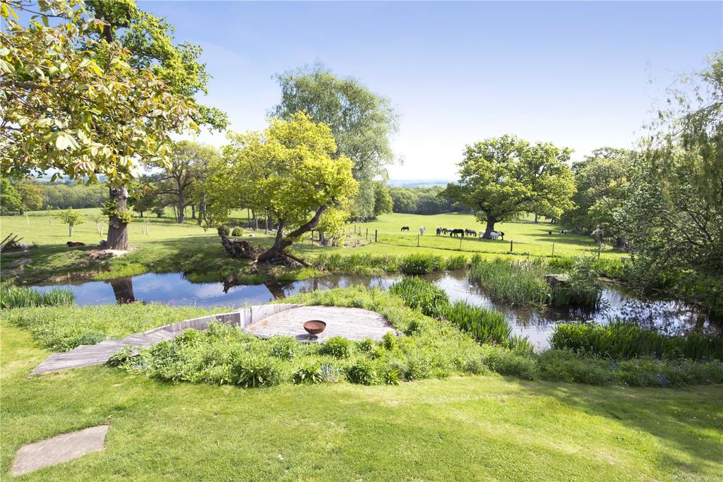 Garden and Pond