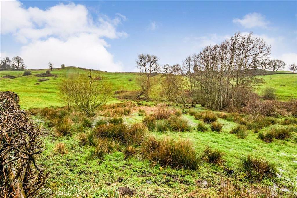 Views Over the Fields at the Rear