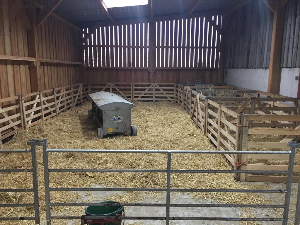 Livestock Building
